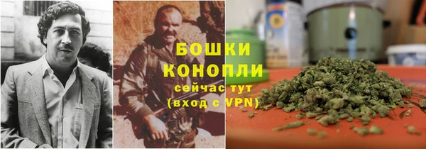 прущие крисы Каменногорск