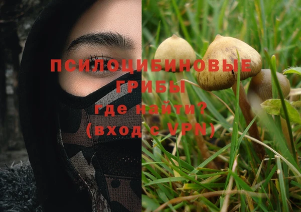 мяу мяу мука Каменск-Шахтинский