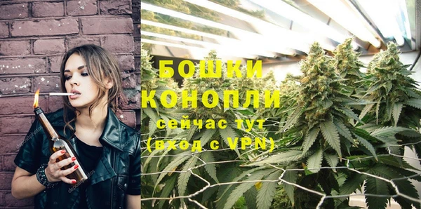 МДПВ Козловка