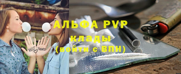 МДПВ Козловка