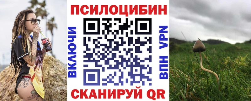 даркнет сайт Лиски Псилоцибиновые грибы прущие грибы