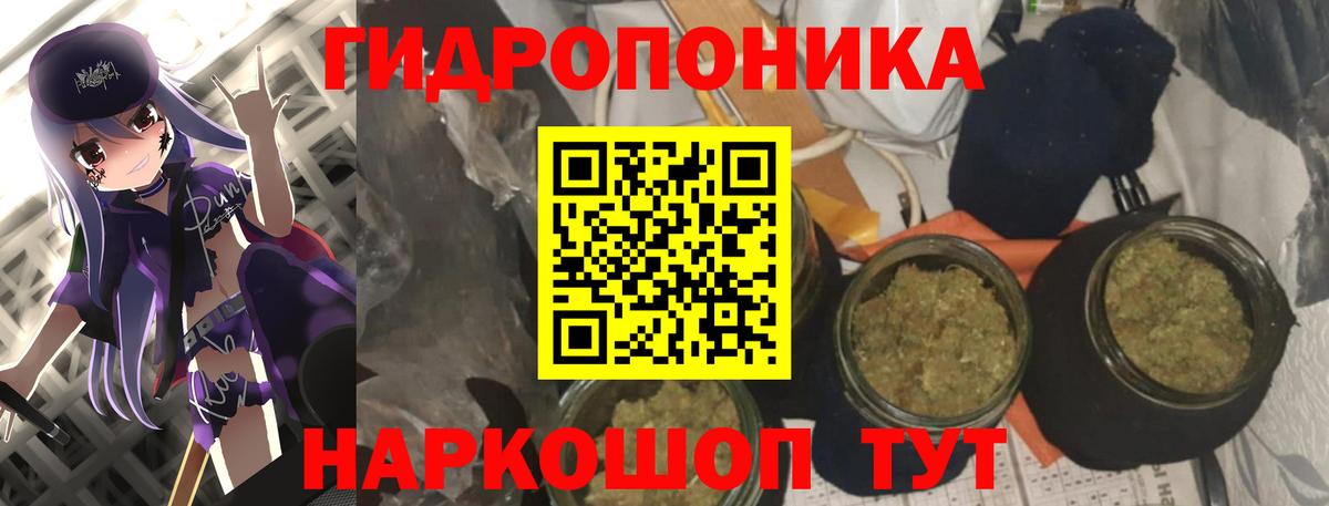 Канабис OG Kush Лиски